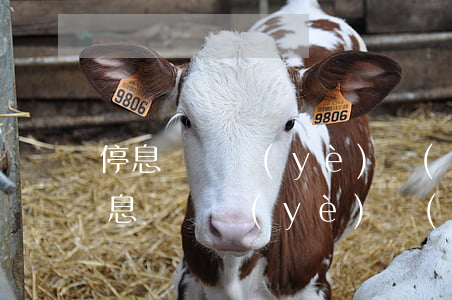 停息掛賬業(yè)務(wù)怎么開展(停息掛賬業(yè)務(wù)怎么開展)