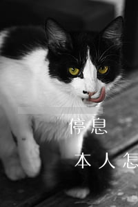停息掛賬業(yè)務(wù)說聲音不是本人怎么辦-停息掛賬業(yè)務(wù)說聲音不是本人怎么辦呢