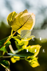 停息掛賬武漢業(yè)務(wù)員 停息掛賬是怎么回事