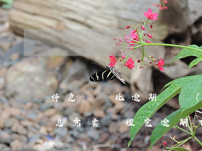 停息掛賬比逾期還嚴(yán)重嗎(掛帳停息需要處理完逾期才行嗎)
