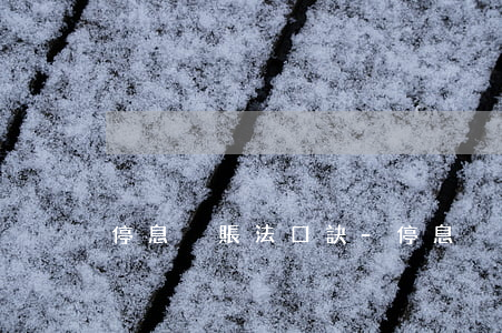 停息掛賬法口訣-停息掛賬法口訣