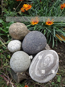 停息掛賬減免申請(qǐng)書(shū)范本(銀行停息掛賬申請(qǐng)流程)