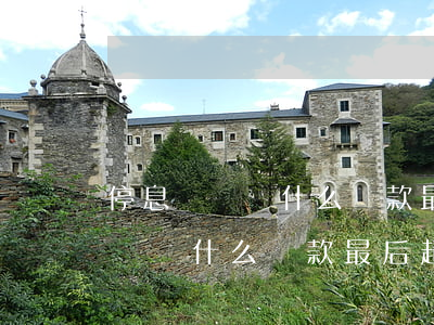 停息掛賬為什么還款最后超出本金-停息掛賬為什么還款最后超出本金了