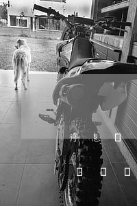 停息掛賬為啥還給發(fā)賬單(可以停息掛賬嗎)