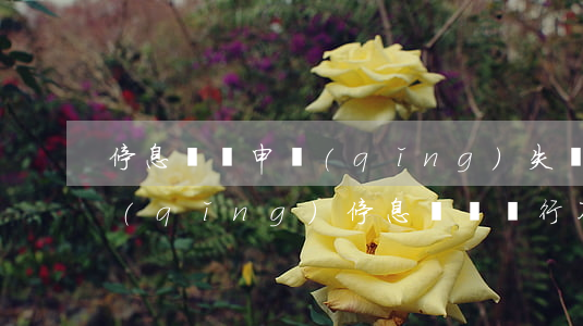 停息掛賬申請(qǐng)失敗怎么辦(申請(qǐng)停息掛賬銀行不答應(yīng)怎么辦)