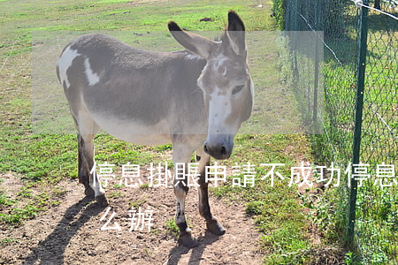停息掛賬申請不成功(停息掛賬申請不成功怎么辦)