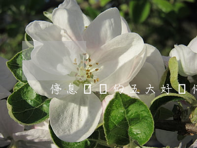 停息掛賬的五大好處(停息掛賬的利與弊)