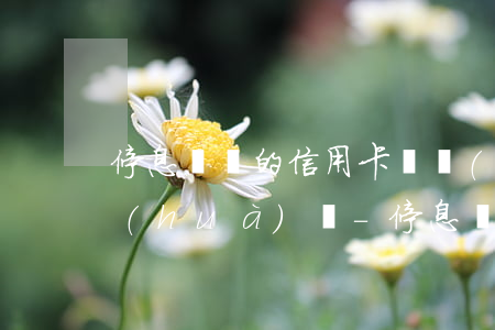 停息掛賬的信用卡還會(huì)收到電話(huà)嗎-停息掛賬的信用卡還會(huì)收到電話(huà)嗎是真的嗎