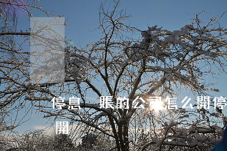 停息掛賬的公司怎么開(停息掛賬的公司怎么開戶)