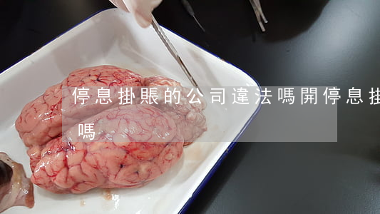 停息掛賬的公司違法嗎（開停息掛賬公司違法嗎）