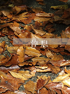 停息掛賬的套路