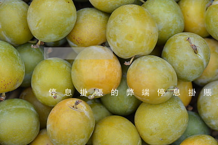 停息掛賬的弊端(停息掛賬的利與弊)