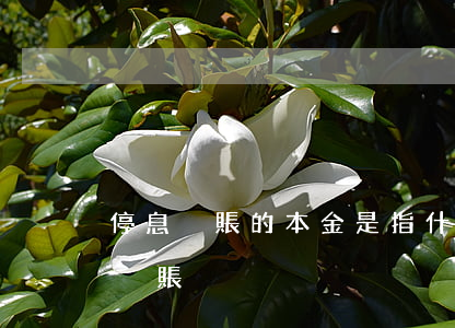 停息掛賬的本金是指什么(什么情況可以停息掛賬)