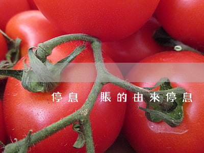 停息掛賬的由來(停息掛賬又叫什么)
