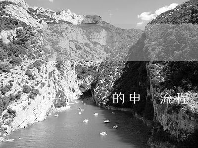 停息掛賬的申請流程視頻(怎么才能申請停息掛賬)