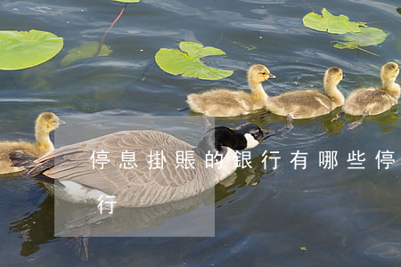 停息掛賬的銀行有哪些（停息掛賬都有哪些銀行）