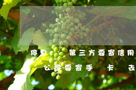 停息掛賬第三方要寄信用卡電話卡-停息掛賬公司要寄手機卡過去