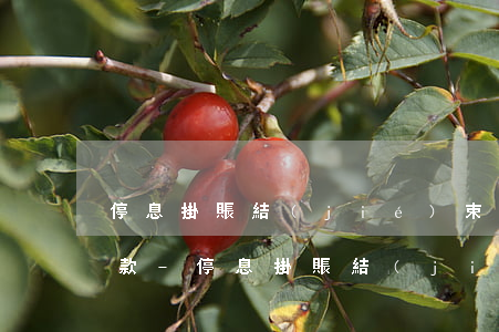 停息掛賬結(jié)束后什么時候可以貸款-停息掛賬結(jié)束后什么時候可以貸款買房