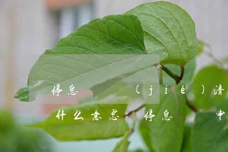 停息掛賬結(jié)清什么意思(停息掛賬什么意思:停息掛賬申請條件麻煩嗎)