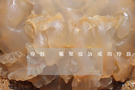 停息掛賬聚投訴成功(停息掛賬逾期了怎么辦)