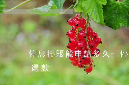 停息掛賬能申請多久-停息掛賬能申請多久還款