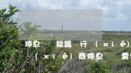 停息掛賬能跟銀行協(xié)商嗎(跟銀行協(xié)商停息掛賬需要什么條件)