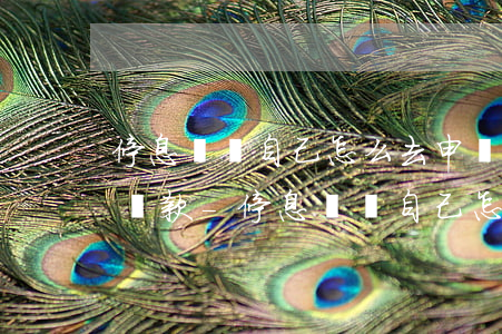 停息掛賬自己怎么去申請(qǐng)銀行貸款-停息掛賬自己怎么去申請(qǐng)銀行貸款呢