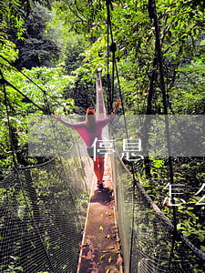 停息掛賬自己申請(qǐng)不下來(停息掛賬怎么申請(qǐng))