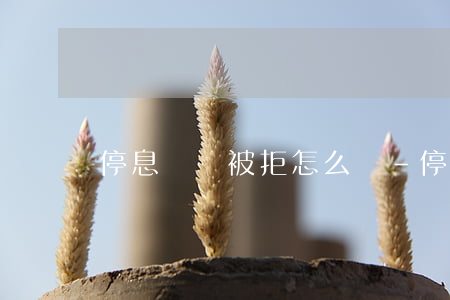 停息掛賬被拒怎么辦-停息掛賬被拒怎么辦