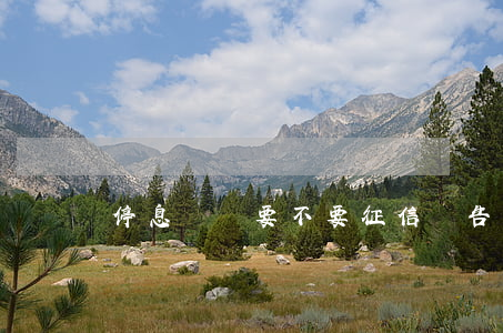 停息掛賬要不要征信報告(信用卡停息掛賬)
