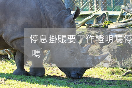 停息掛賬要工作證明嗎（停息掛賬要工作證明嗎）