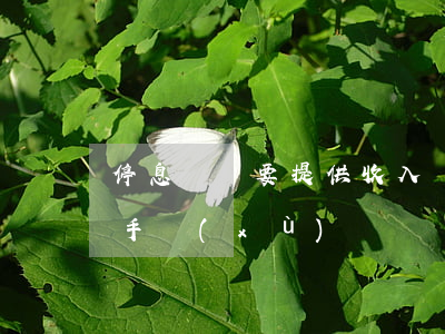 停息掛賬要提供收入證明(掛帳停息需要什么手續(xù))