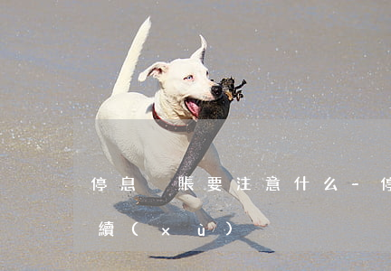 停息掛賬要注意什么-停息掛賬需要什么手續(xù)