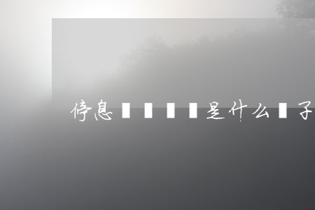 停息掛賬賬單是什么樣子