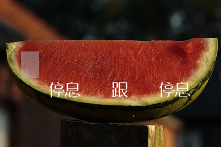 停息掛賬跟誰談(停息掛賬怎么說)