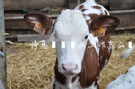 停息掛賬這份工作怎么樣(如何做停息掛賬)