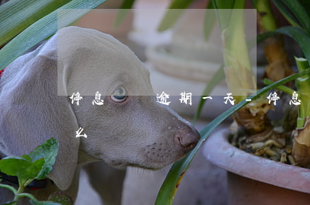 停息掛賬逾期一天-停息掛賬逾期一天會怎么樣