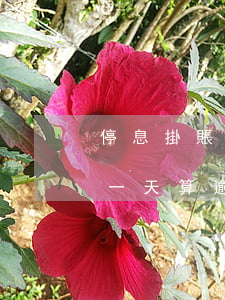 停息掛賬逾期一天算逾期嗎-停息掛賬逾期一天算逾期嗎