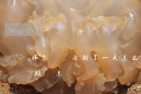 停息掛賬逾期了一天怎么辦(停息掛賬之后逾期會怎樣)