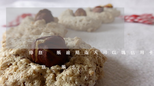 停息掛賬逾期兩天可以嗎（信用卡逾期2年能停息掛賬么）