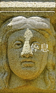 停息掛賬適合所有銀行嗎(哪些銀行可以停息掛賬)