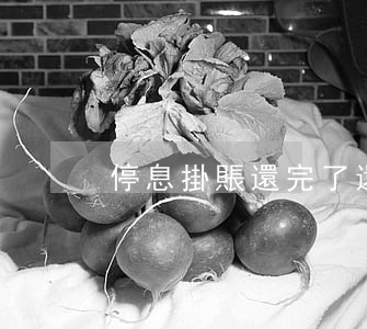 停息掛賬還完了還是呆帳