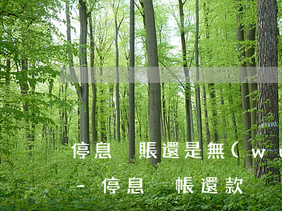 停息掛賬還是無(wú)法還最低還款額度-停息掛帳還款