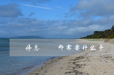 停息掛賬都需要什么手續(xù)