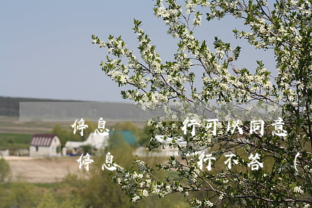 停息掛賬銀行可以同意嗎(申請(qǐng)停息掛賬銀行不答應(yīng)怎么辦)