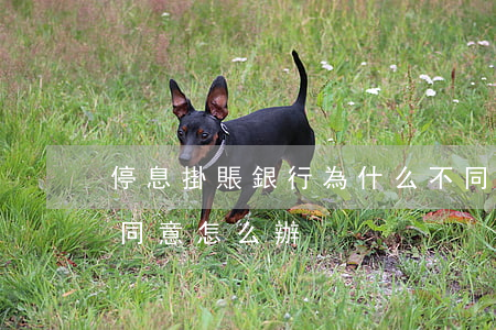 停息掛賬銀行為什么不同意(停息掛賬銀行不同意怎么辦)