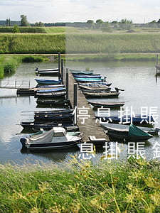 停息掛賬銀行說沒有這個規(guī)定（停息掛賬銀行說沒有）