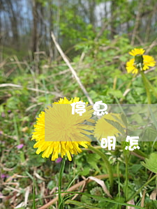 停息掛賬開困難證明-銀行停息掛賬的貧困證明怎樣寫