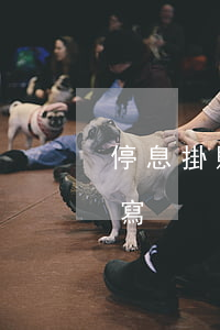 停息掛賬開貧困證明(停息掛賬貧困證明怎么寫)