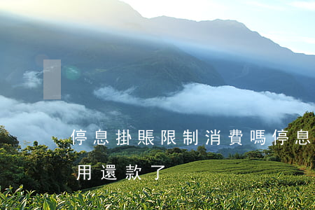 停息掛賬限制消費嗎(停息掛賬是不是暫時不用還款了)